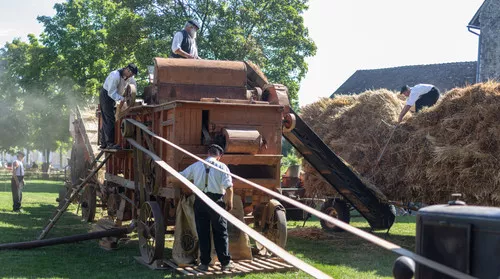 Fete de la Moisson Provins